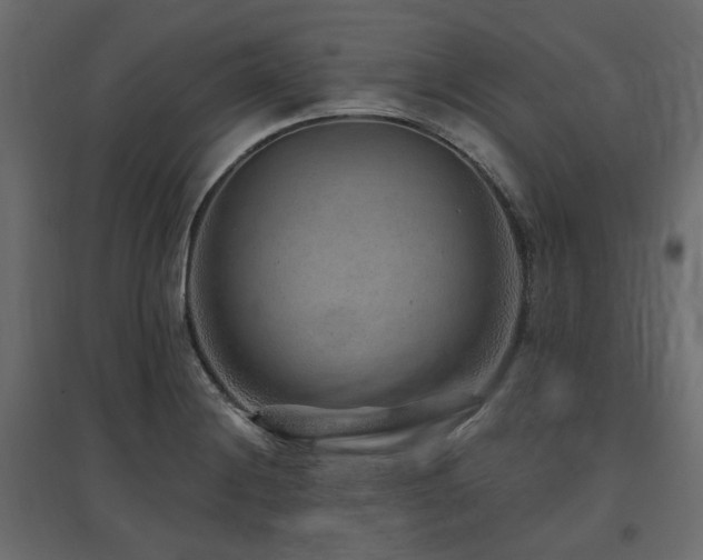 X0000097771228200803071310