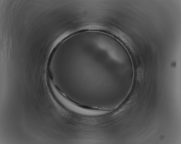 X0000097771229200803071310
