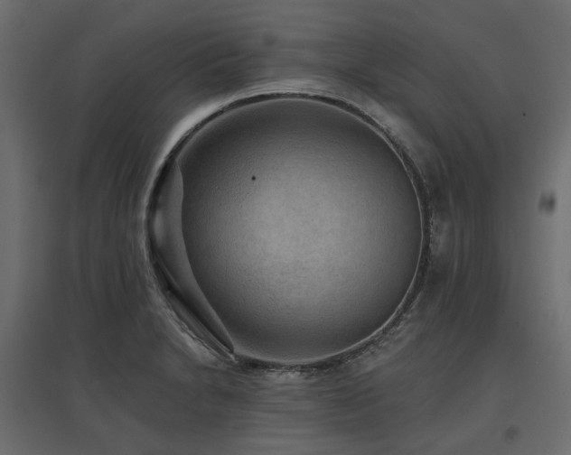 X0000097771230200803071310
