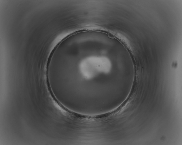 X0000097771231200803071310