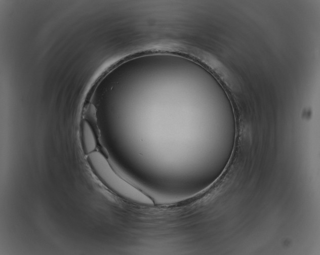 X0000097771232200803071310