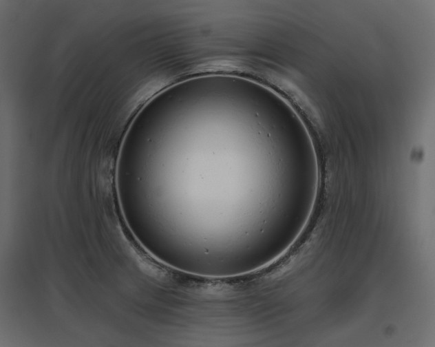 X0000097771233200803071310