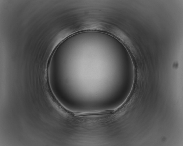 X0000097771234200803071310