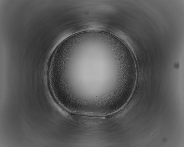 X0000097771235200803071310