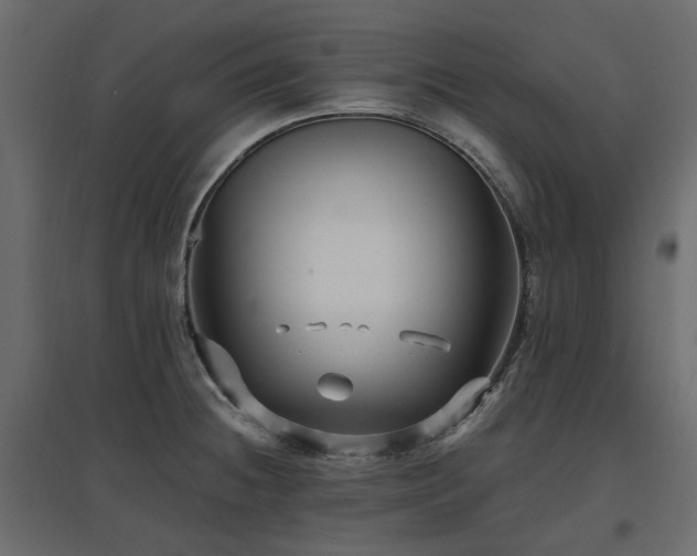 X0000097771236200803071310