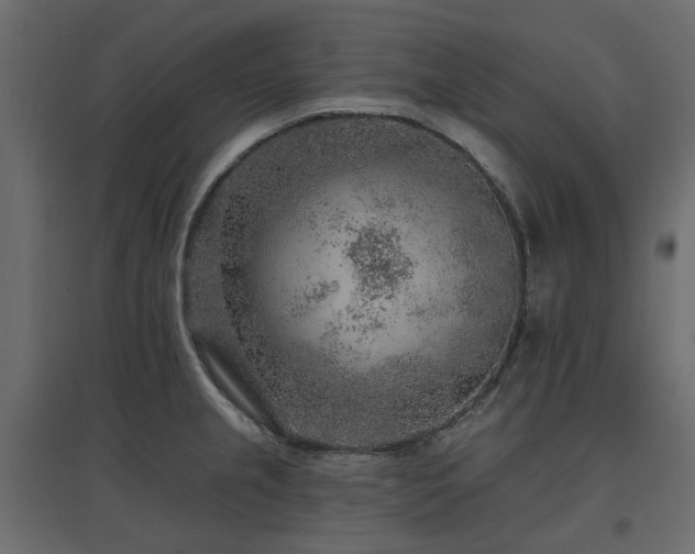 X0000097771237200803071310