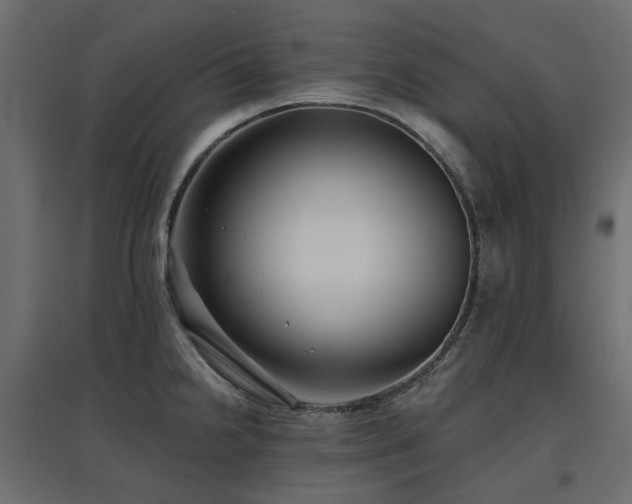 X0000097771238200803071310