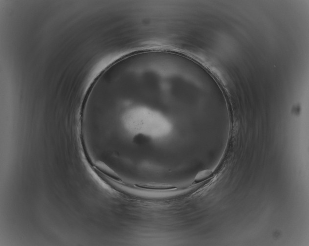 X0000097771239200803071310