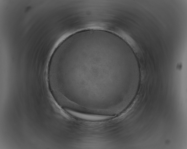 X0000097771240200803071310
