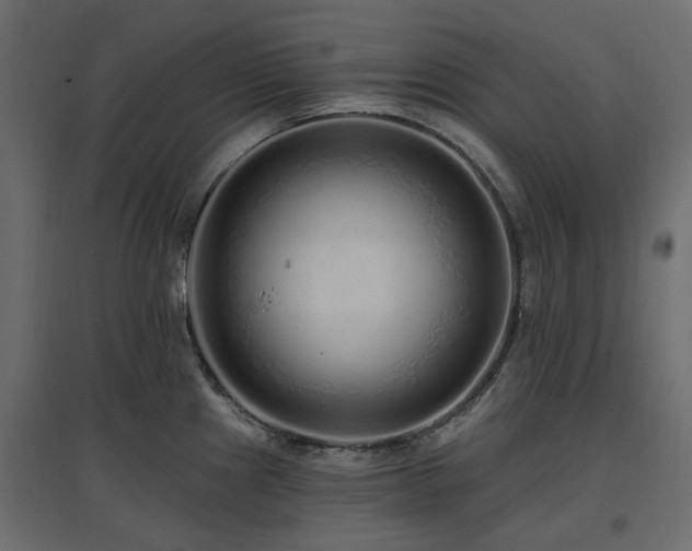 X0000097771241200803071310