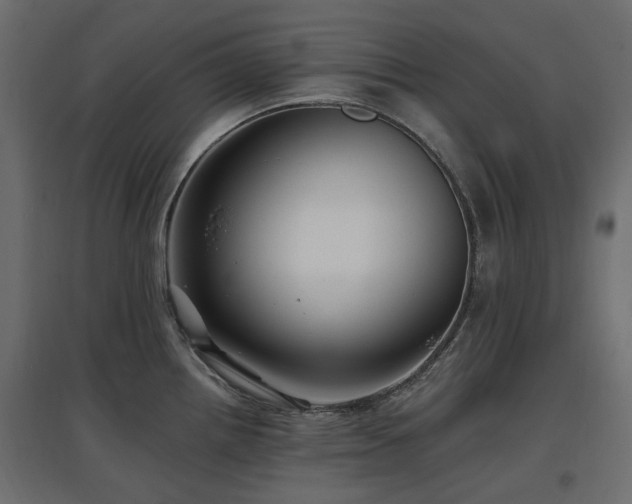 X0000097771242200803071310