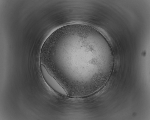X0000097771244200803071310