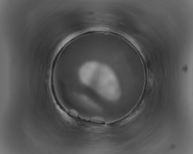X0000097771245200803071310