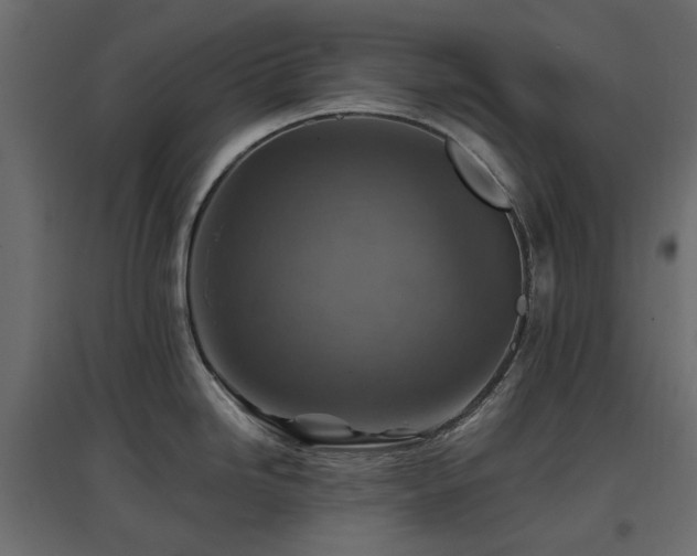 X0000097771246200803071310
