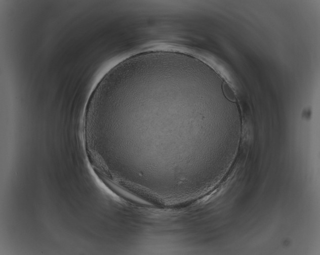 X0000097771247200803071310