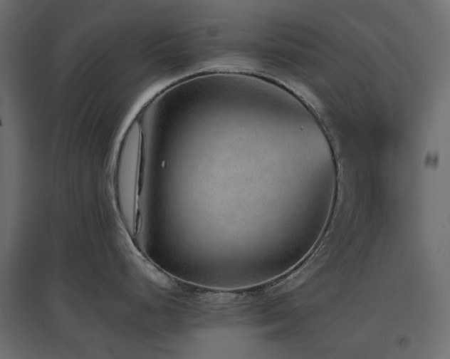 X0000097771248200803071310