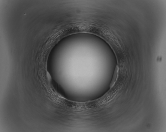 X0000097771249200803071309
