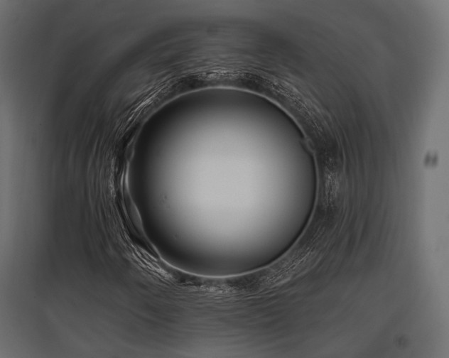 X0000097771250200803071309