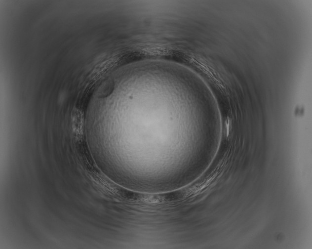 X0000097771251200803071309