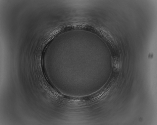 X0000097771252200803071309