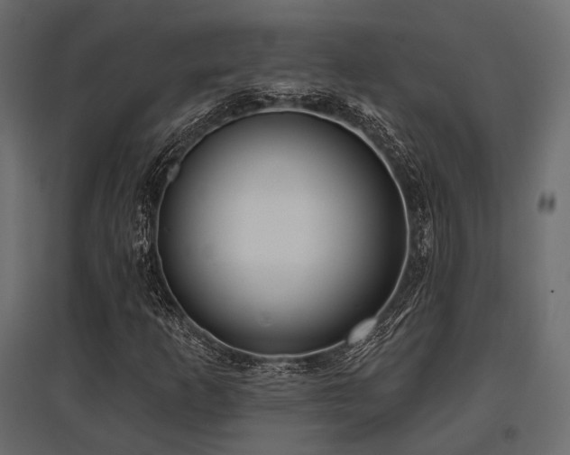 X0000097771253200803071309