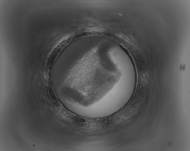 X0000097771254200803071309