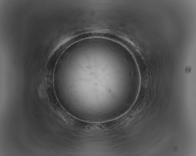 X0000097771255200803071309