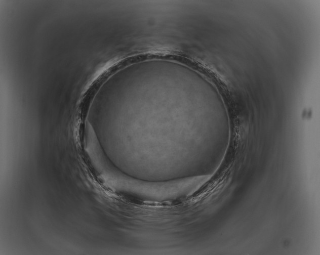 X0000097771256200803071309