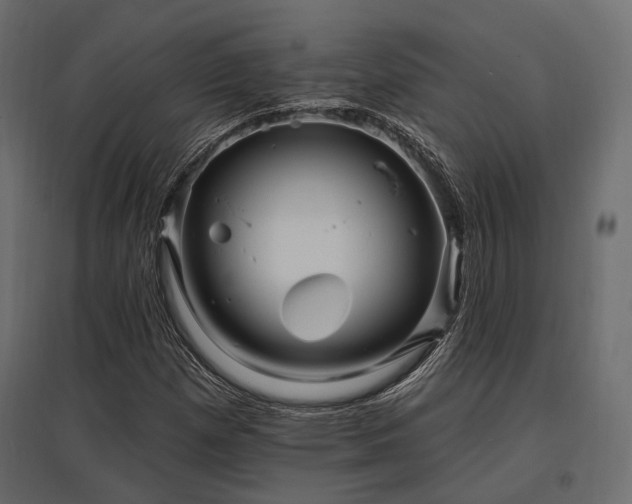 X0000097771257200803071309