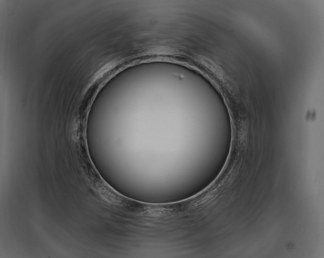 X0000097771258200803071309