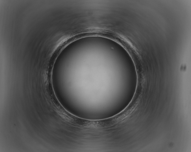 X0000097771259200803071309