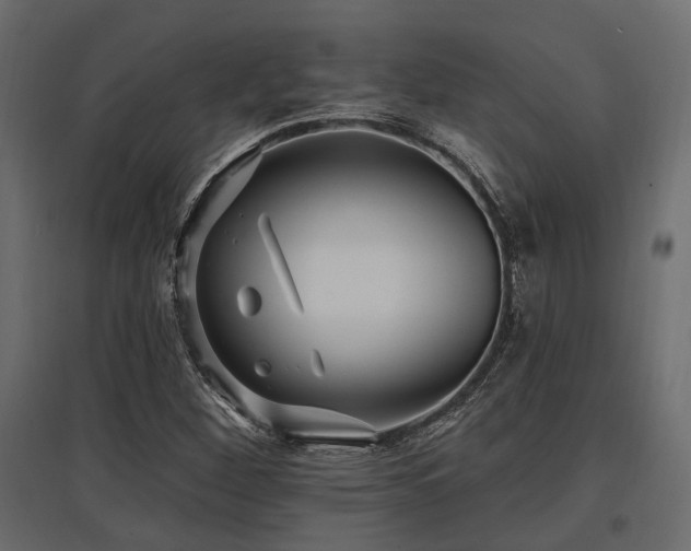 X0000097771260200803071309