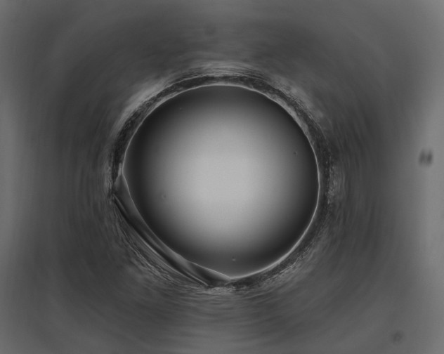X0000097771261200803071309