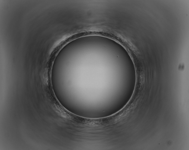 X0000097771262200803071309