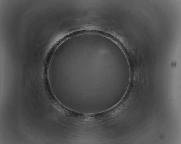 X0000097771263200803071309