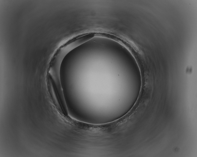 X0000097771264200803071309