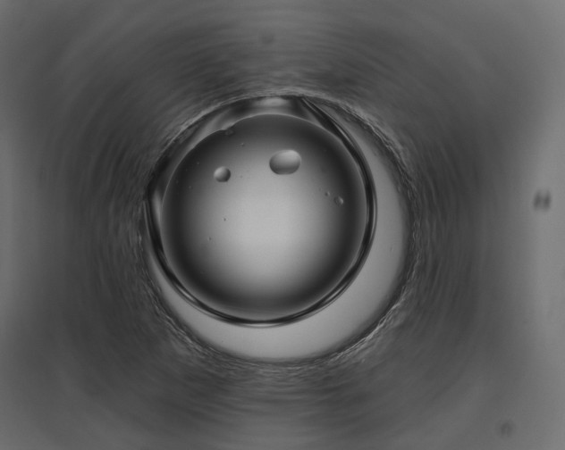 X0000097771265200803071309