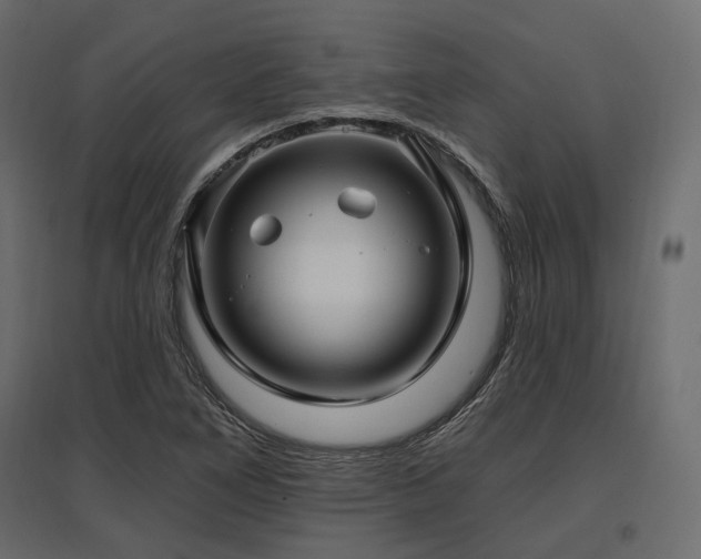 X0000097771266200803071309