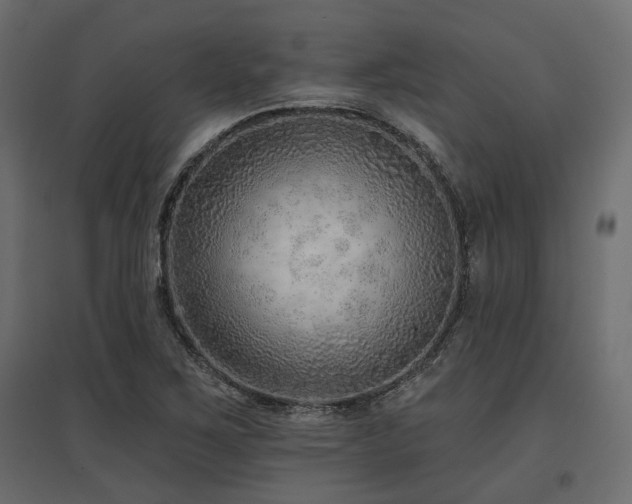 X0000097771267200803071309