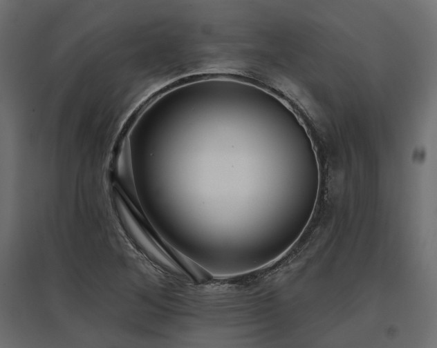 X0000097771268200803071309