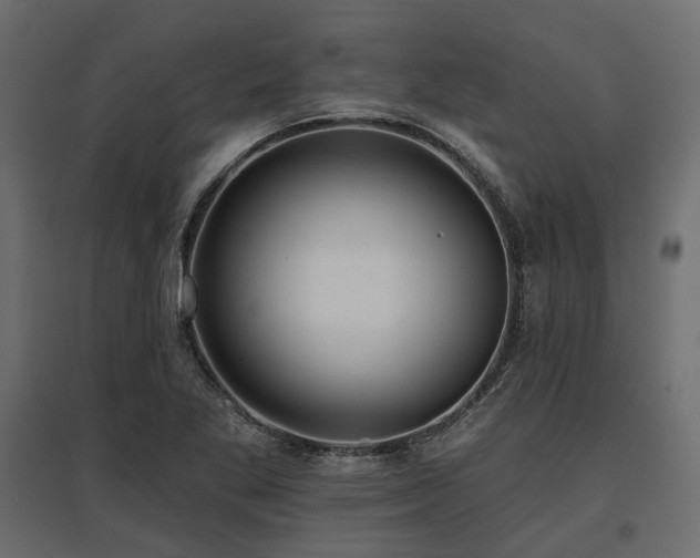 X0000097771269200803071309