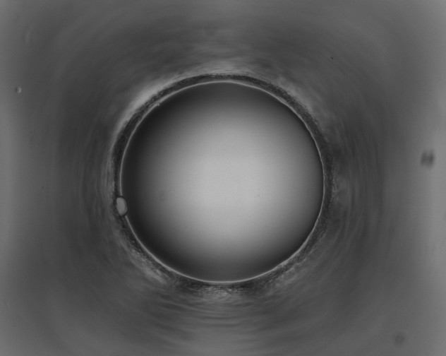 X0000097771270200803071309