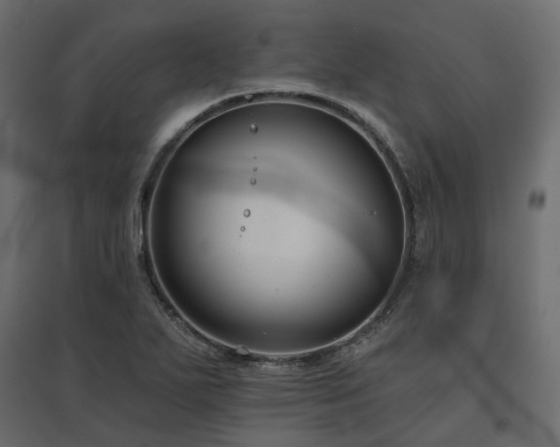 X0000097771271200803071309