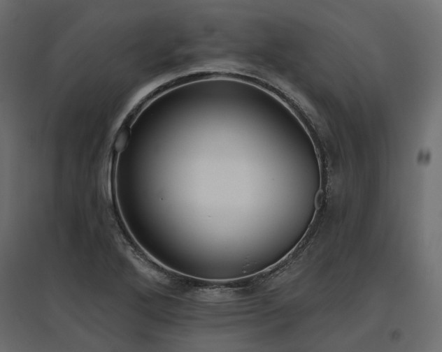 X0000097771272200803071309
