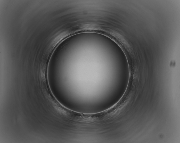 X0000097771273200803071309