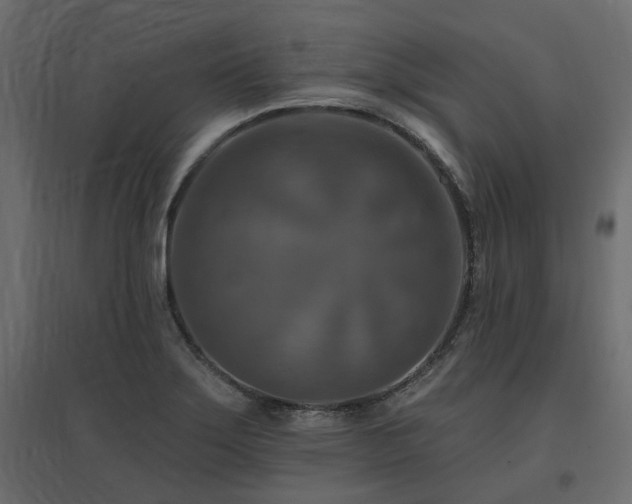 X0000097771275200803071309