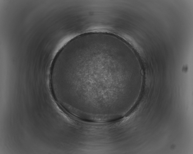 X0000097771277200803071309