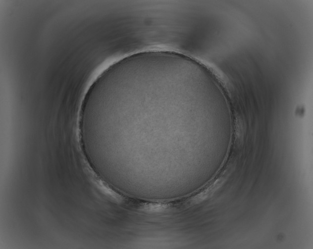 X0000097771278200803071309
