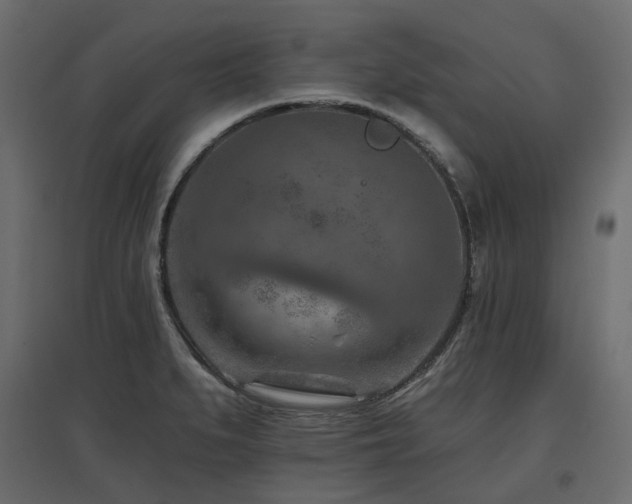 X0000097771279200803071309