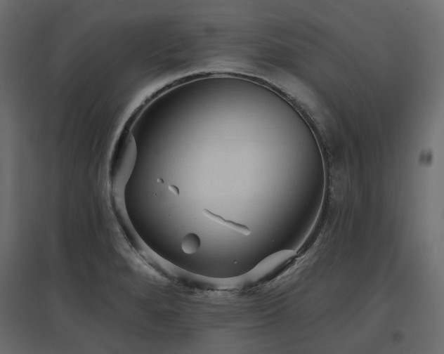 X0000097771280200803071309
